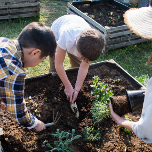NDIS Gardening Australia