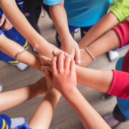 NDIS Innovative Community Participation Australia